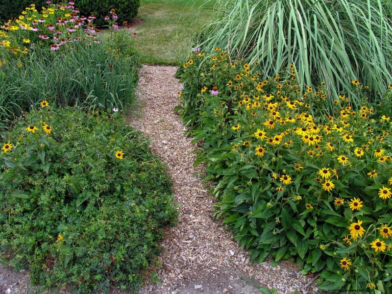 25 Proven Ways to Use Mulch for a Thriving Garden