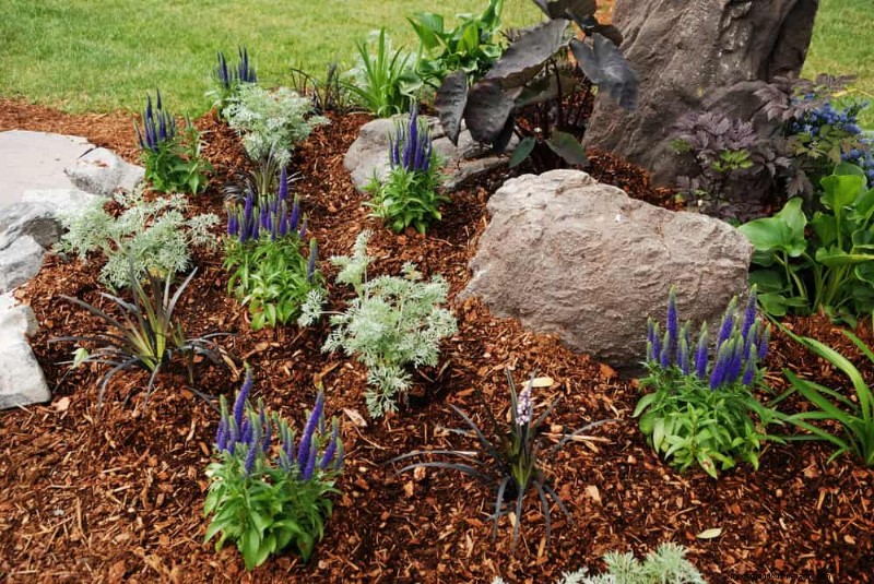 25 Proven Ways to Use Mulch for a Thriving Garden