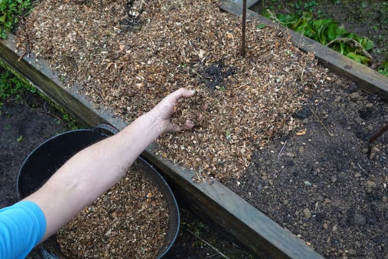 25 Proven Ways to Use Mulch for a Thriving Garden