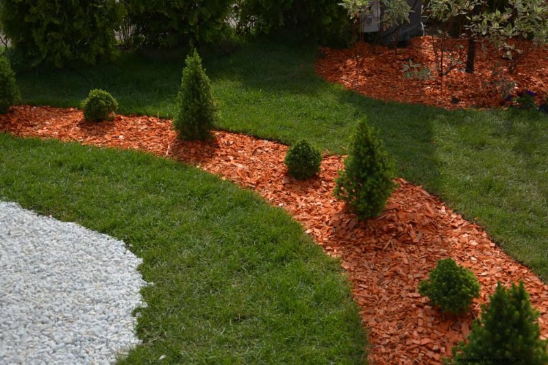 25 Proven Ways to Use Mulch for a Thriving Garden