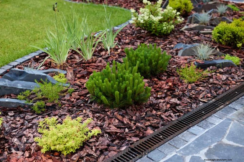 25 Proven Ways to Use Mulch for a Thriving Garden