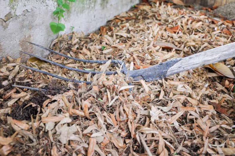 25 Proven Ways to Use Mulch for a Thriving Garden