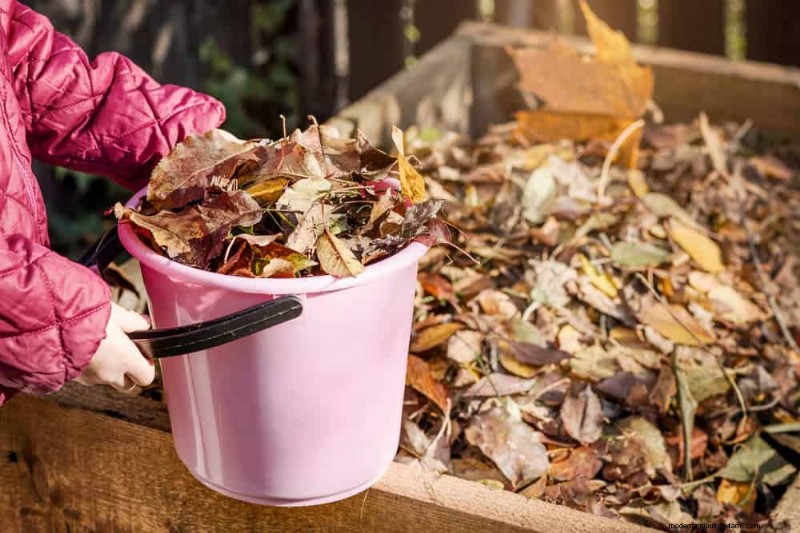 25 Proven Ways to Use Mulch for a Thriving Garden