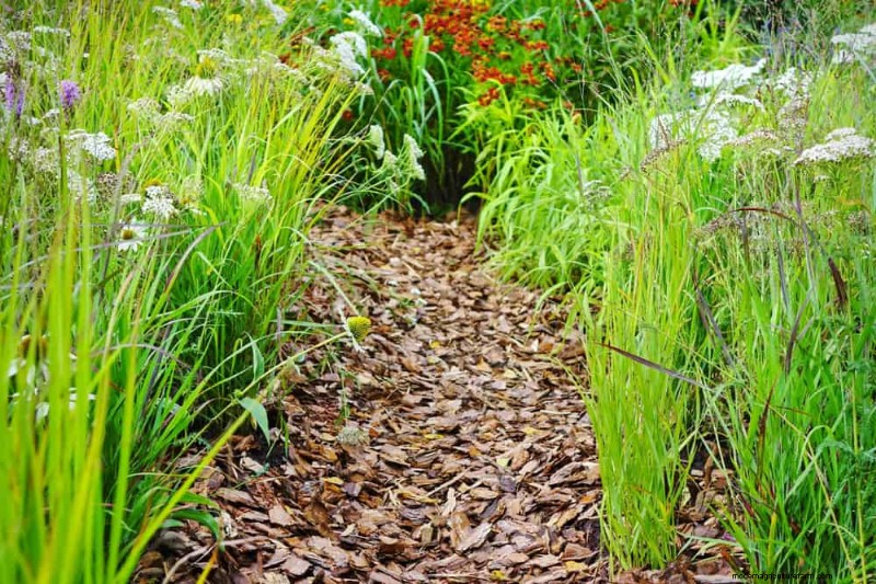 25 Proven Ways to Use Mulch for a Thriving Garden