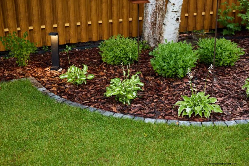 25 Proven Ways to Use Mulch for a Thriving Garden