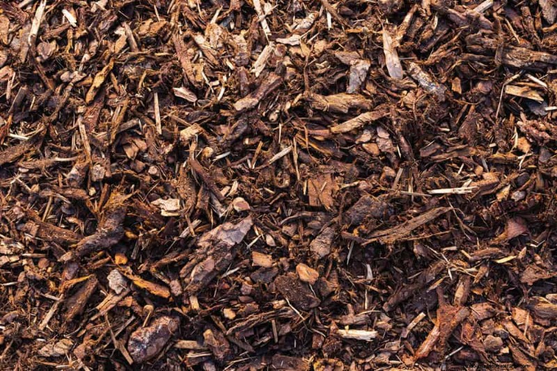 25 Proven Ways to Use Mulch for a Thriving Garden