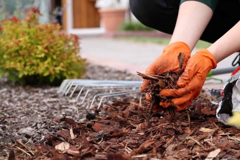 25 Proven Ways to Use Mulch for a Thriving Garden