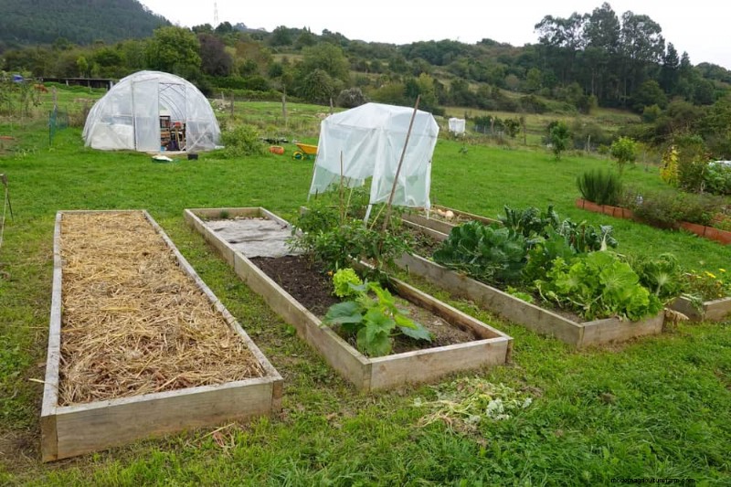 25 Proven Ways to Use Mulch for a Thriving Garden