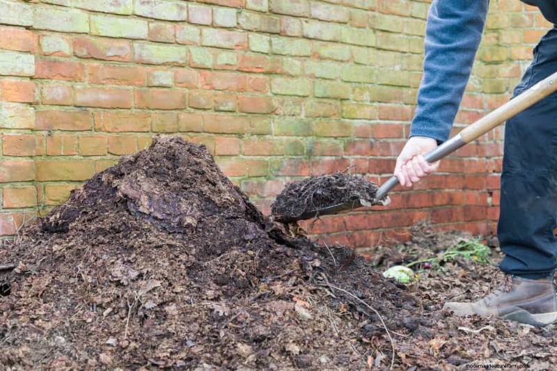 25 Proven Ways to Use Mulch for a Thriving Garden