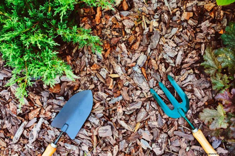 25 Proven Ways to Use Mulch for a Thriving Garden