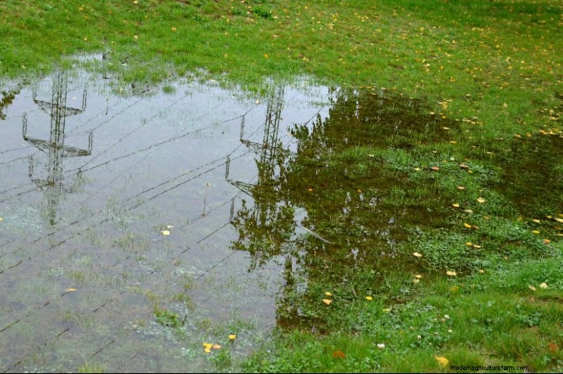 Prevent Spring Flooding: 24 Smart Garden Drainage Solutions