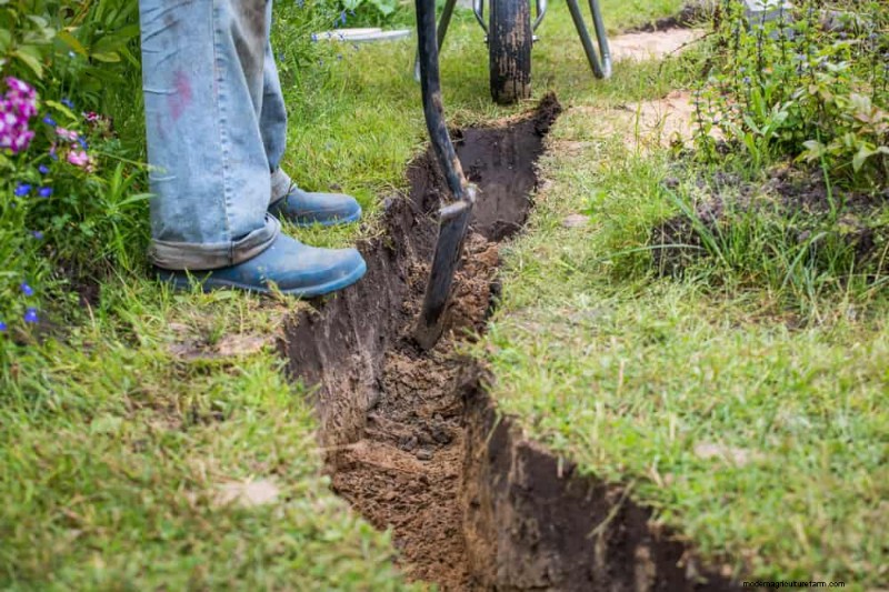 Prevent Spring Flooding: 24 Smart Garden Drainage Solutions