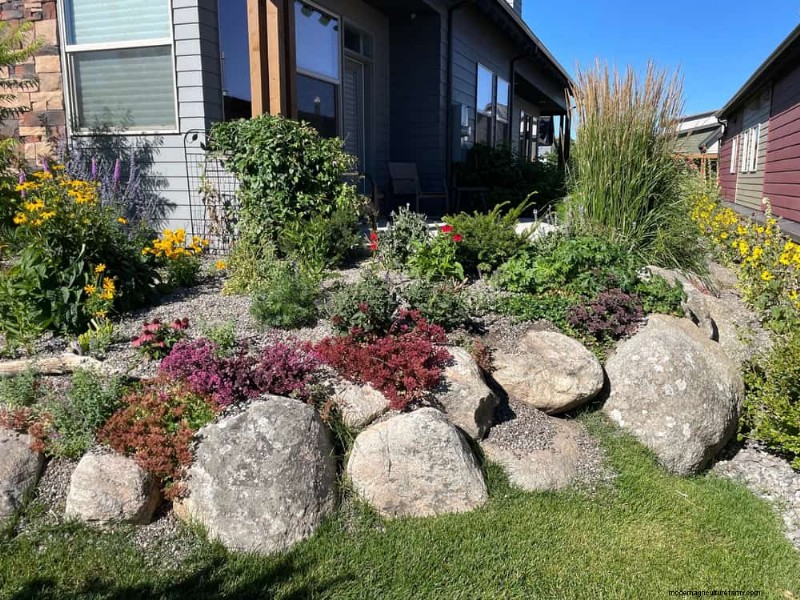Prevent Spring Flooding: 24 Smart Garden Drainage Solutions