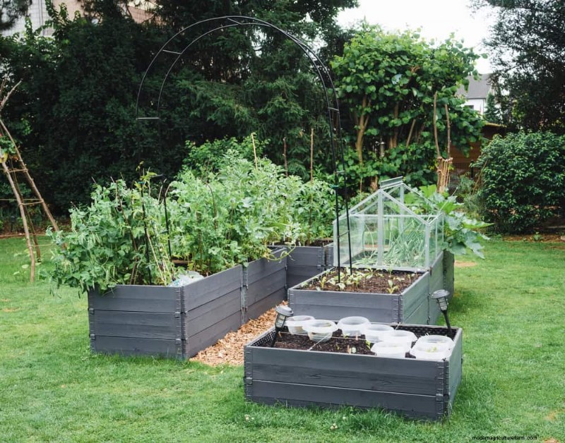 Prevent Spring Flooding: 24 Smart Garden Drainage Solutions