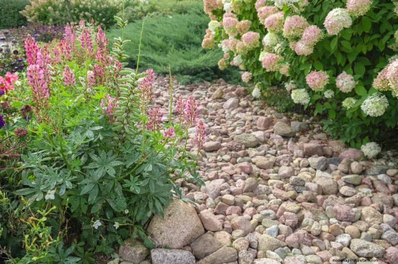 Prevent Spring Flooding: 24 Smart Garden Drainage Solutions