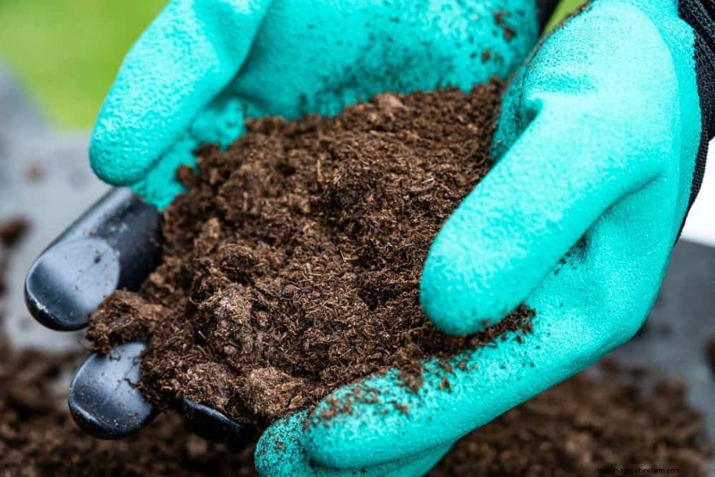 Prevent Spring Flooding: 24 Smart Garden Drainage Solutions