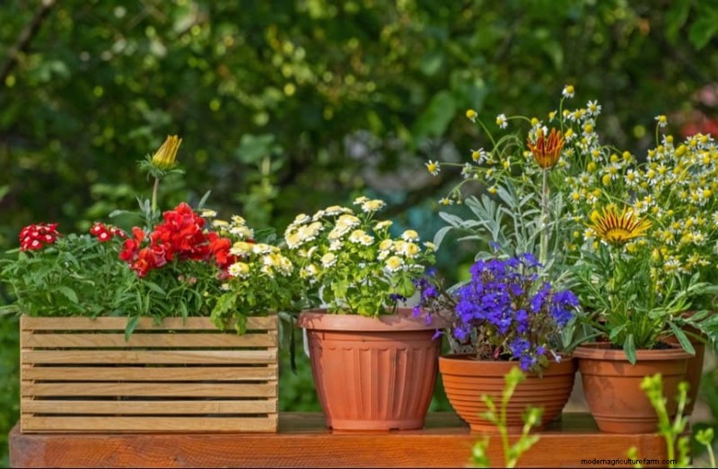 Prevent Spring Flooding: 24 Smart Garden Drainage Solutions