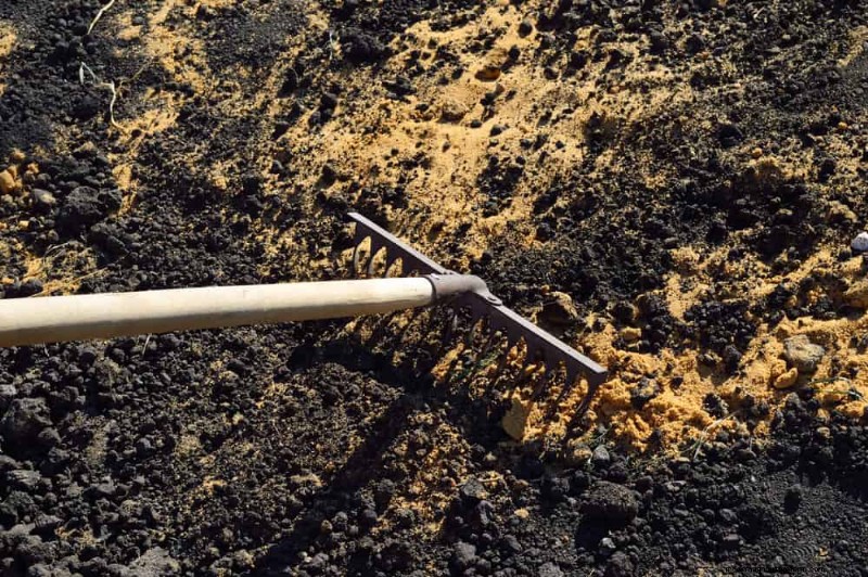Prevent Spring Flooding: 24 Smart Garden Drainage Solutions
