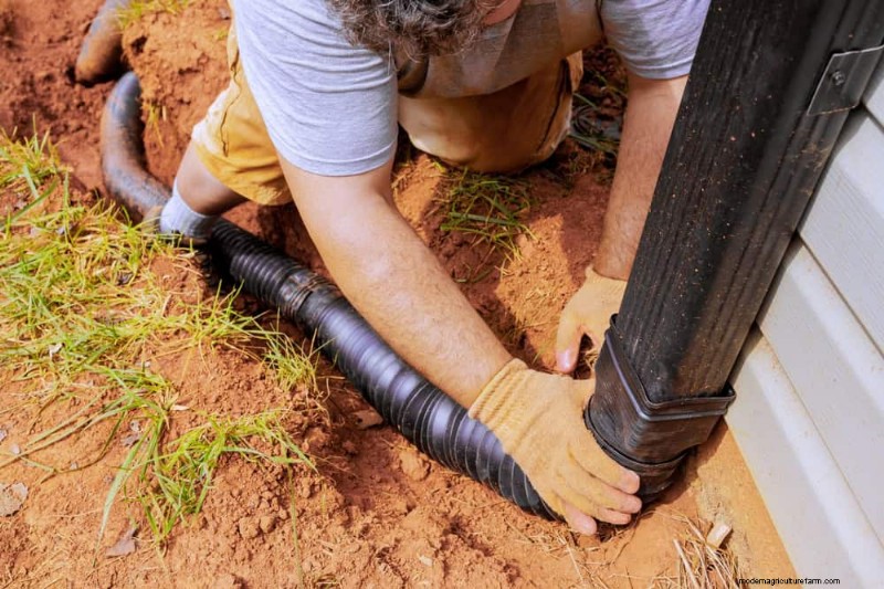 Prevent Spring Flooding: 24 Smart Garden Drainage Solutions