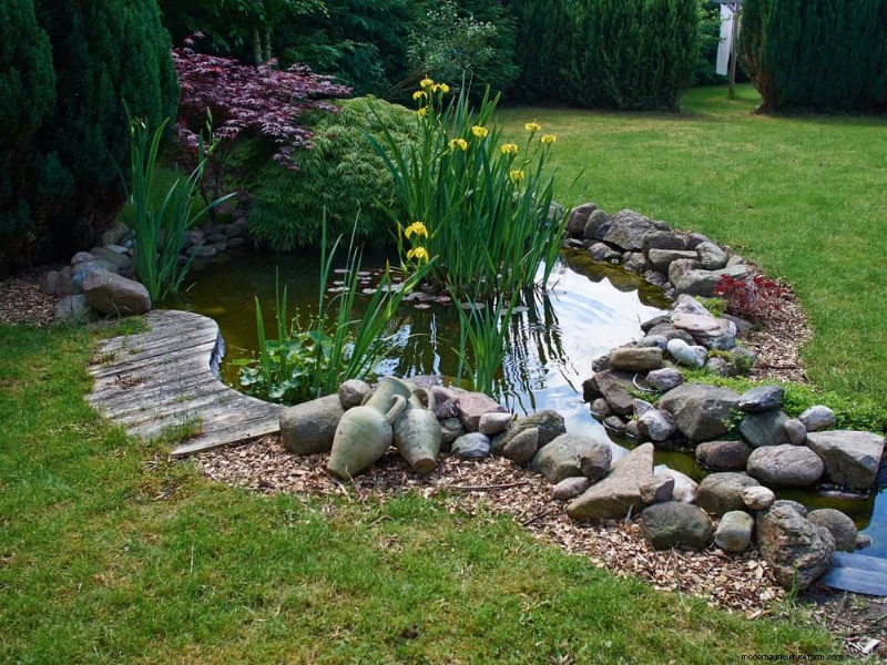 Prevent Spring Flooding: 24 Smart Garden Drainage Solutions