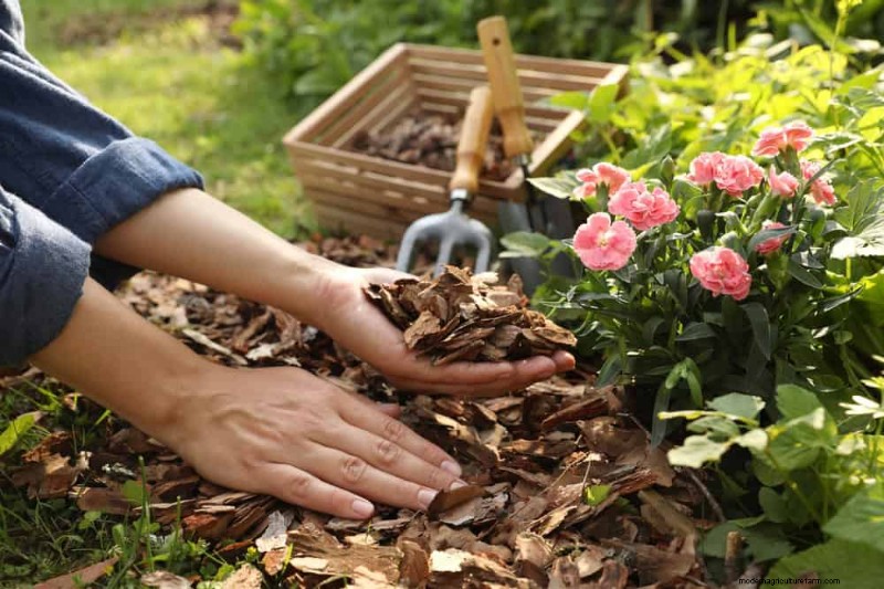 Prevent Spring Flooding: 24 Smart Garden Drainage Solutions