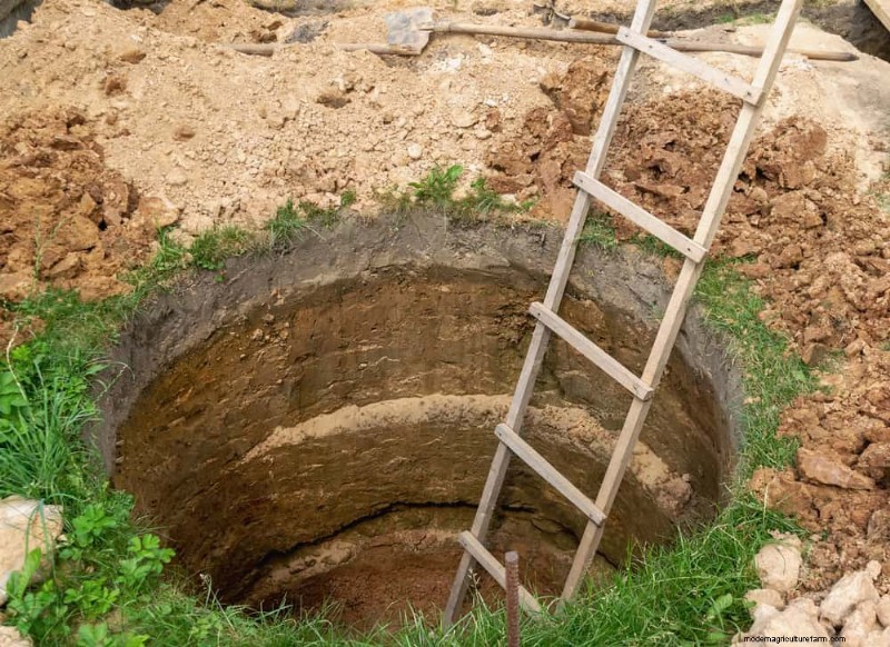 Prevent Spring Flooding: 24 Smart Garden Drainage Solutions