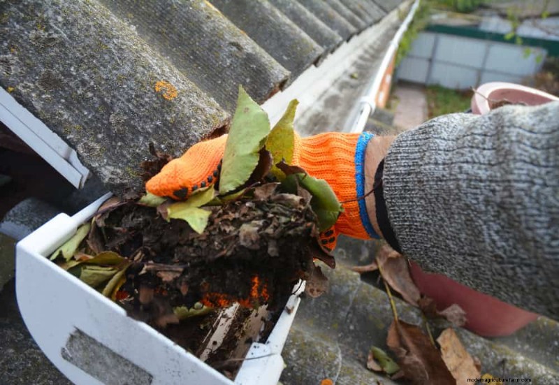 Prevent Spring Flooding: 24 Smart Garden Drainage Solutions