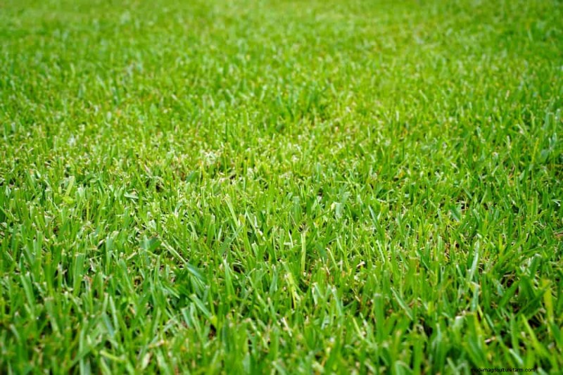 Prevent Spring Flooding: 24 Smart Garden Drainage Solutions