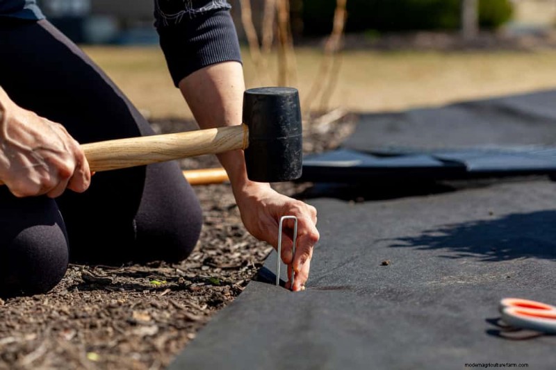 Prevent Spring Flooding: 24 Smart Garden Drainage Solutions