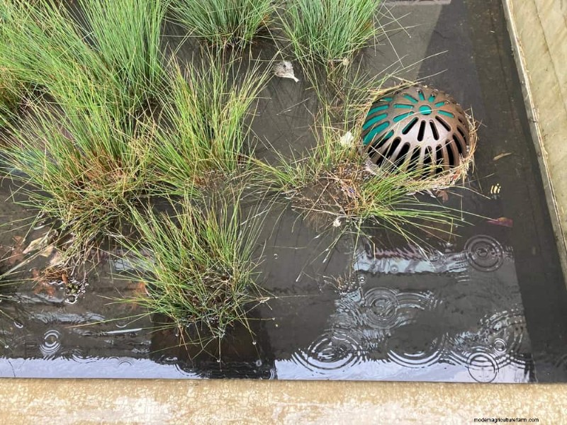 Prevent Spring Flooding: 24 Smart Garden Drainage Solutions