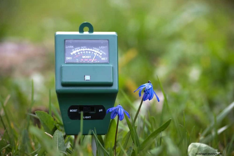 Prevent Spring Flooding: 24 Smart Garden Drainage Solutions