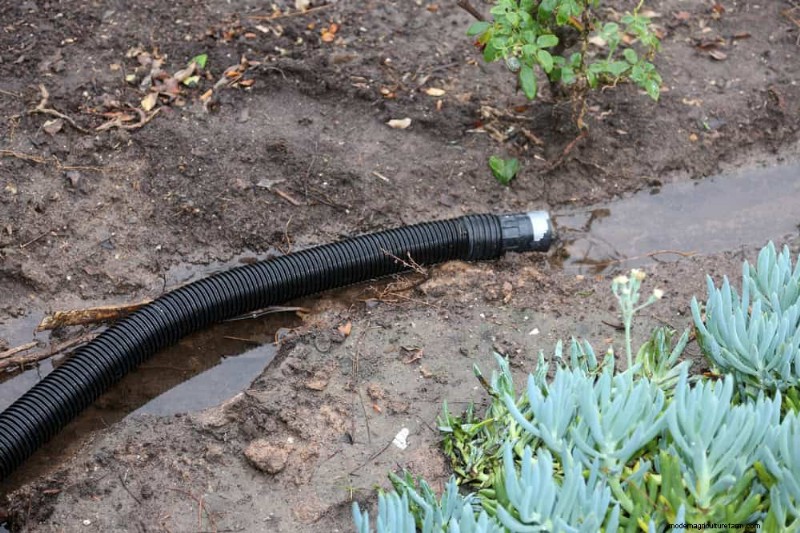 Prevent Spring Flooding: 24 Smart Garden Drainage Solutions