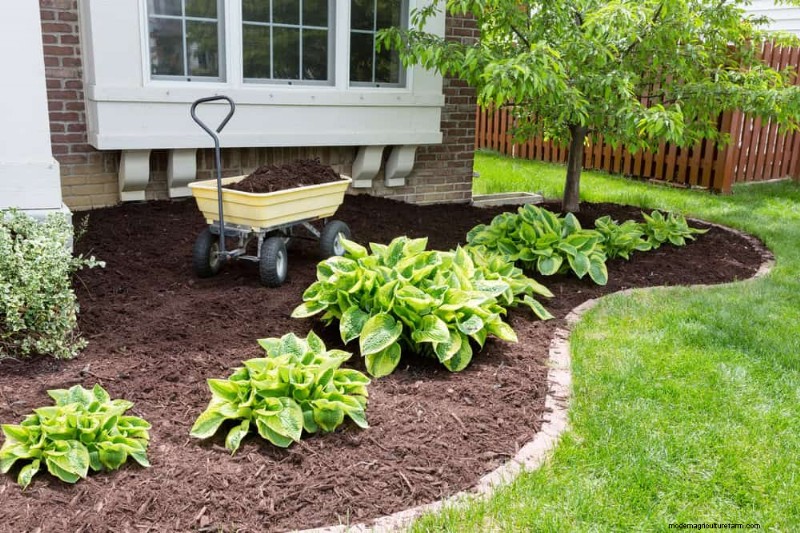 Natural Weed Control: 22 Eco-Friendly Methods for a Thriving Garden