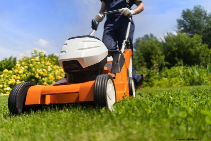Natural Weed Control: 22 Eco-Friendly Methods for a Thriving Garden
