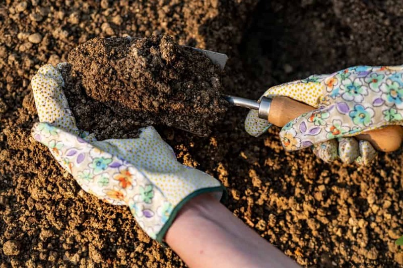Natural Weed Control: 22 Eco-Friendly Methods for a Thriving Garden