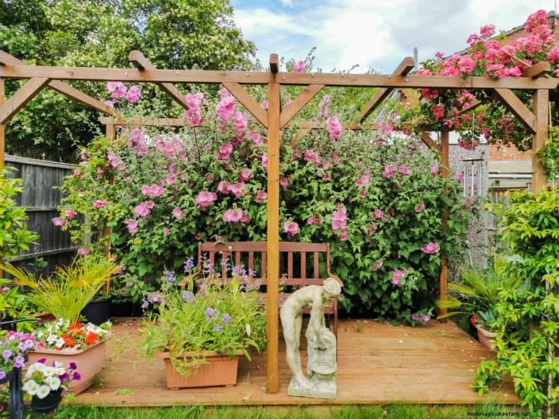 23 Stunning Backyard Trellis Ideas to Enhance Your Garden