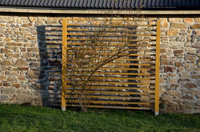 23 Stunning Backyard Trellis Ideas to Enhance Your Garden