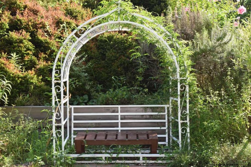 23 Stunning Backyard Trellis Ideas to Enhance Your Garden