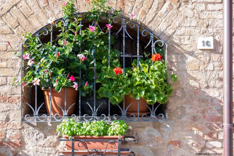 23 Stunning Backyard Trellis Ideas to Enhance Your Garden