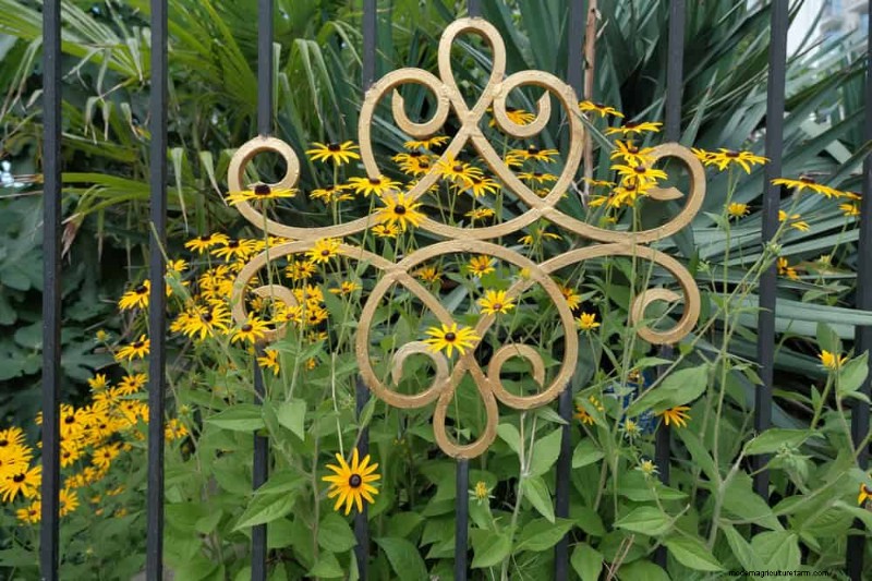 23 Stunning Backyard Trellis Ideas to Enhance Your Garden