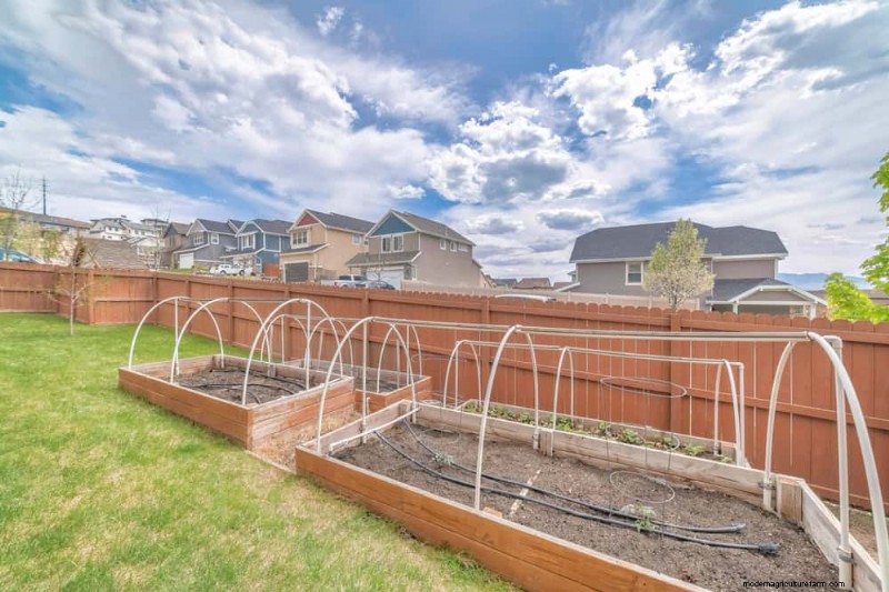 23 Stunning Backyard Trellis Ideas to Enhance Your Garden