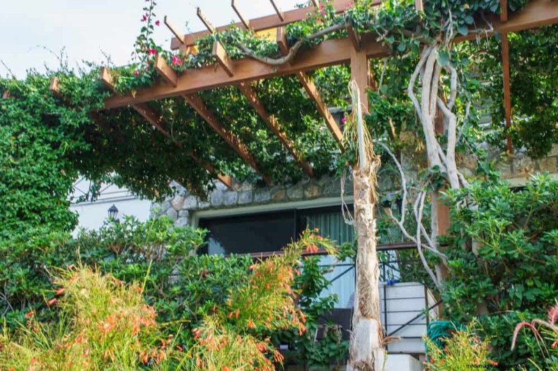 23 Stunning Backyard Trellis Ideas to Enhance Your Garden