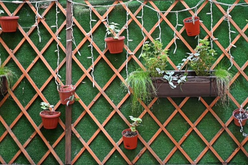 23 Stunning Backyard Trellis Ideas to Enhance Your Garden