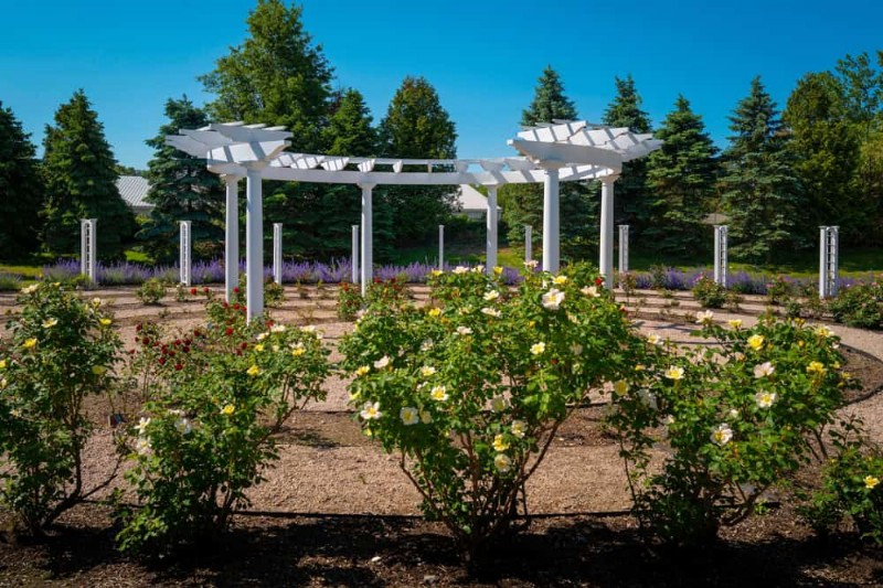 23 Stunning Backyard Trellis Ideas to Enhance Your Garden