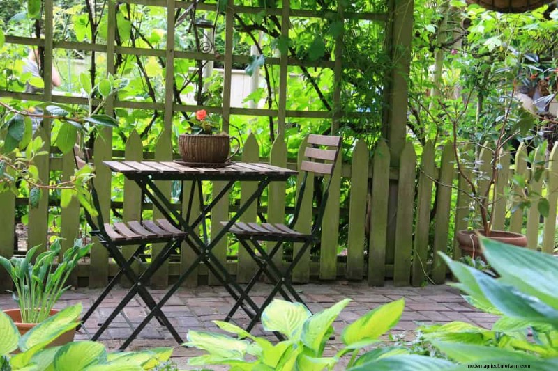 23 Stunning Backyard Trellis Ideas to Enhance Your Garden