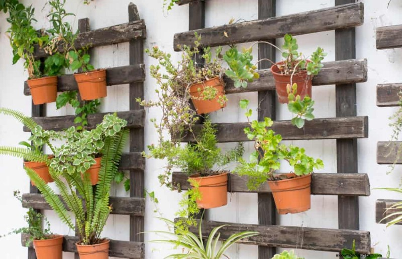 23 Stunning Backyard Trellis Ideas to Enhance Your Garden