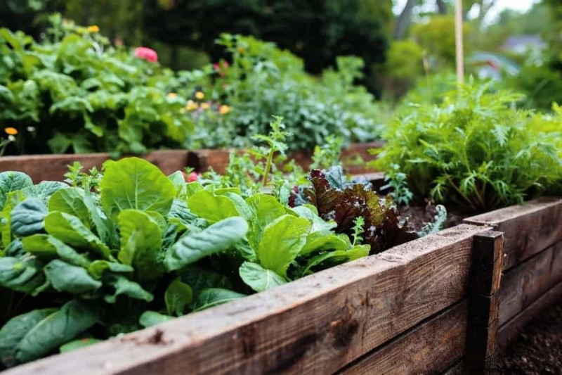 25 Best Fast-Growing Plants for Early Spring Planting