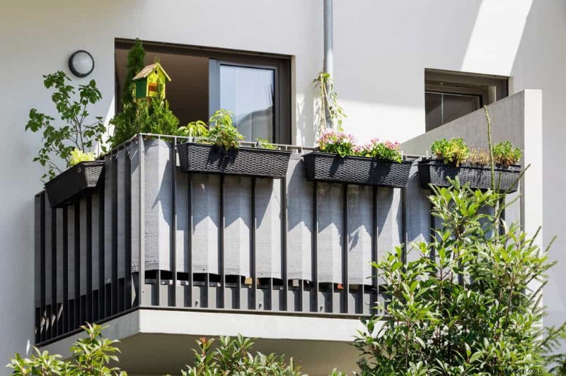 23 Natural Backyard Privacy Ideas to Enhance Your Landscape