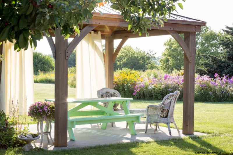 23 Natural Backyard Privacy Ideas to Enhance Your Landscape