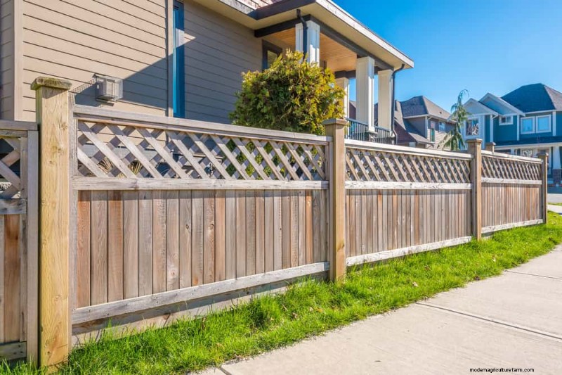 23 Natural Backyard Privacy Ideas to Enhance Your Landscape